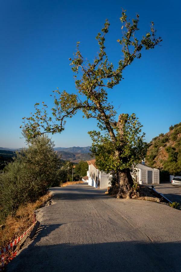 B&B Villa Deseada Periana Bagian luar foto